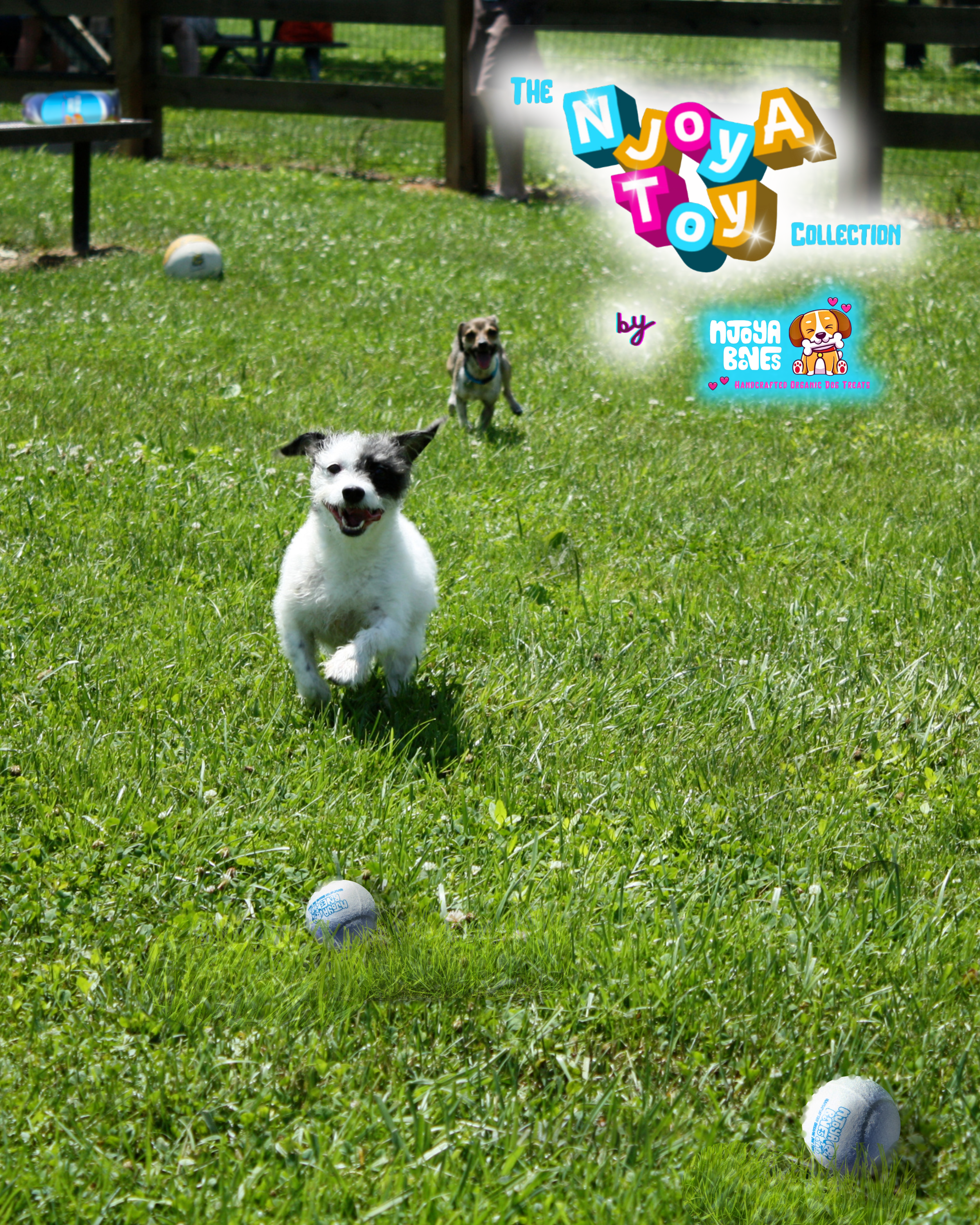 3-Pack Tennis Ball NJoyA Toy