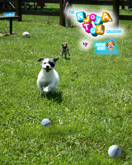 3-Pack Tennis Ball NJoyA Toy