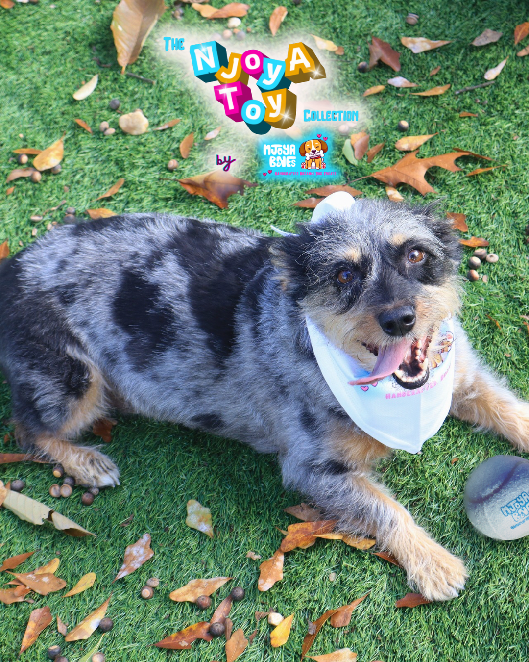 3-Pack Tennis Ball NJoyA Toy